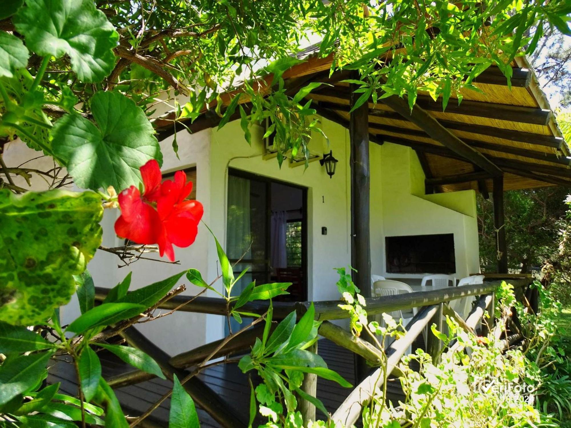 Bungalows Punta Colorada Piriapolis Luaran gambar
